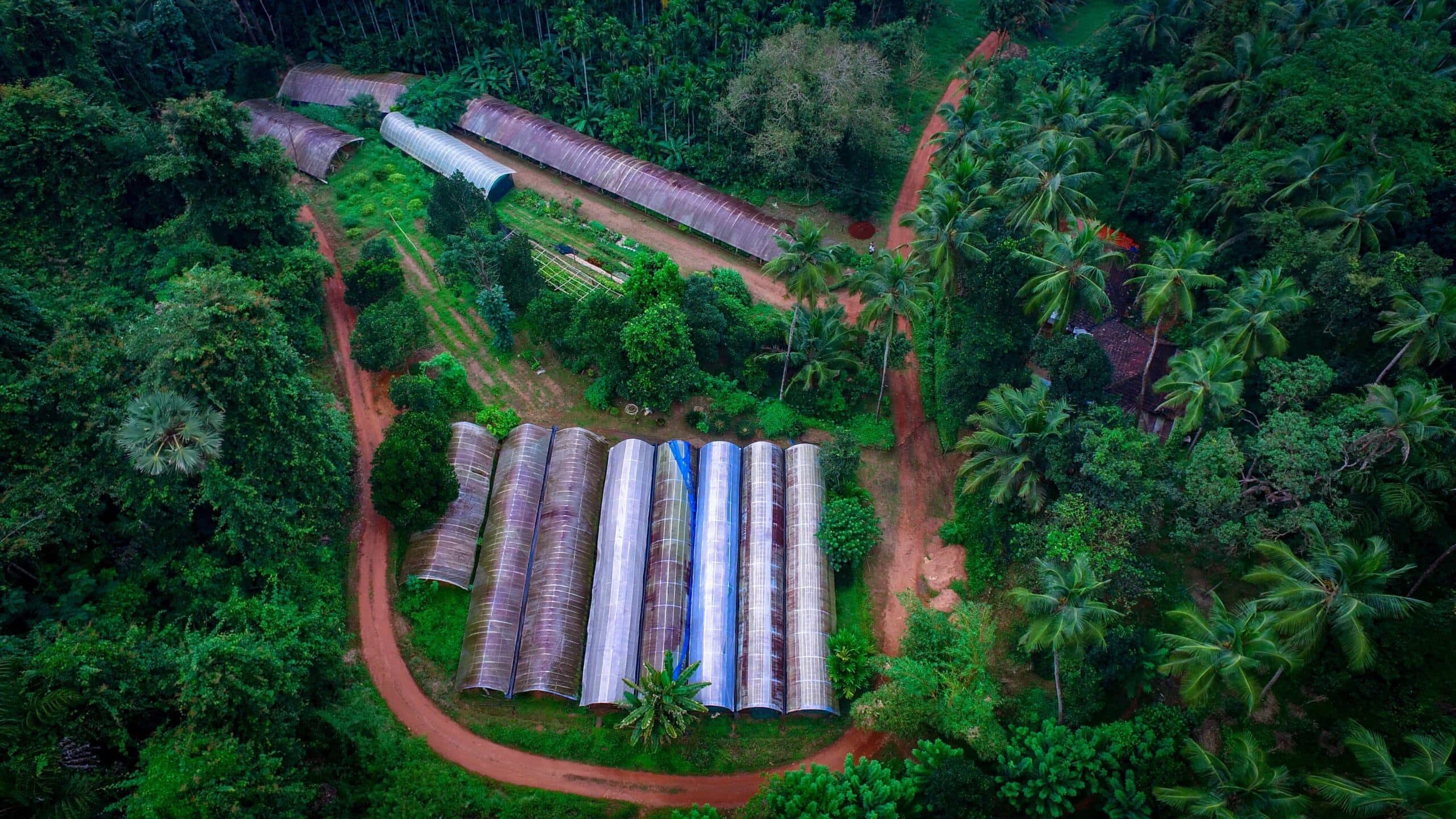 Varanashi swimming pond aerial view