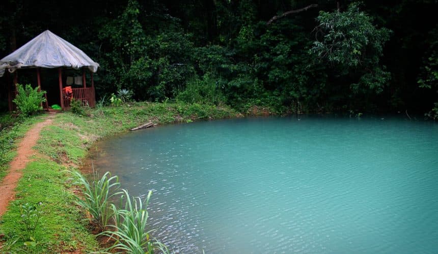 Tree house at Varanashi