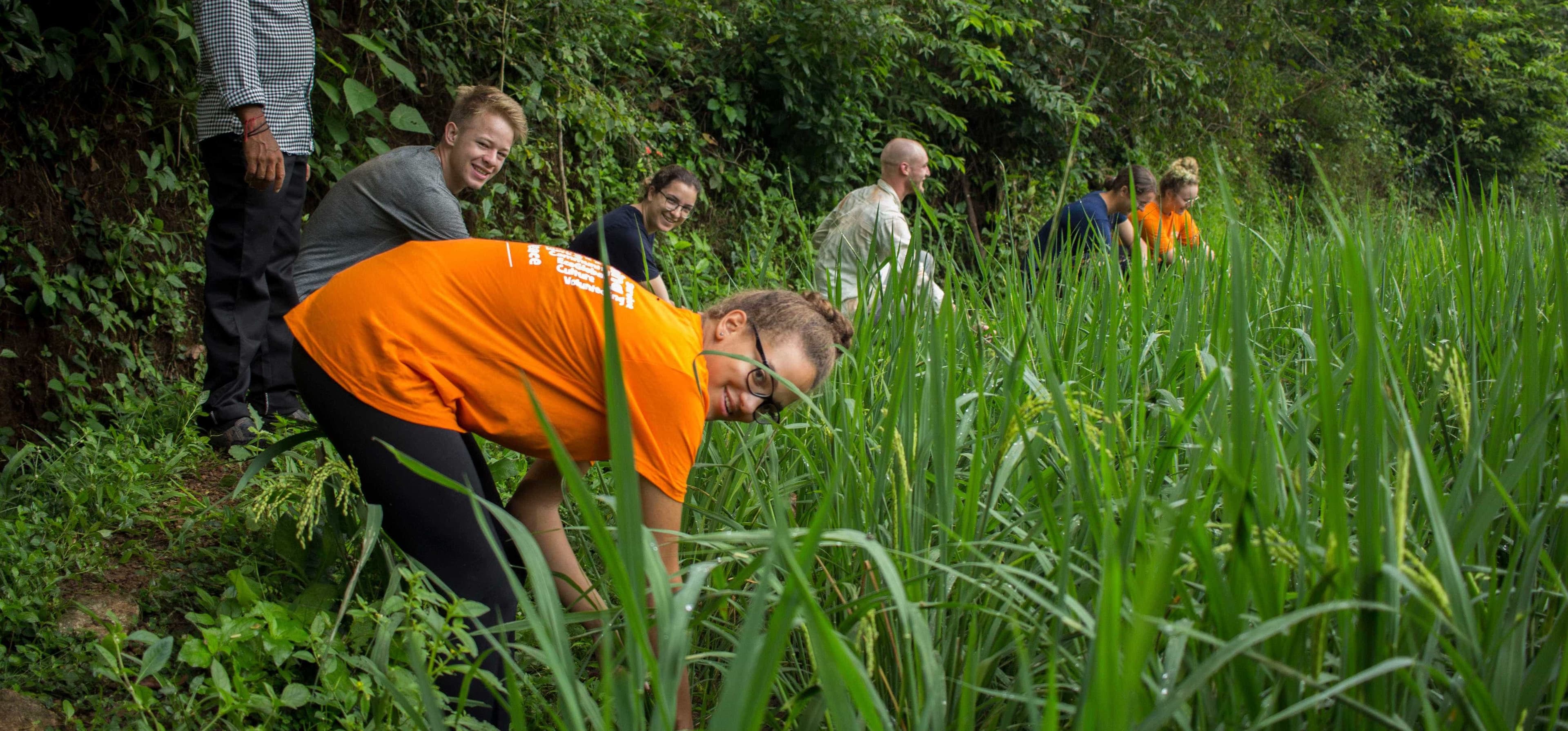 Volunteering at Varanashi