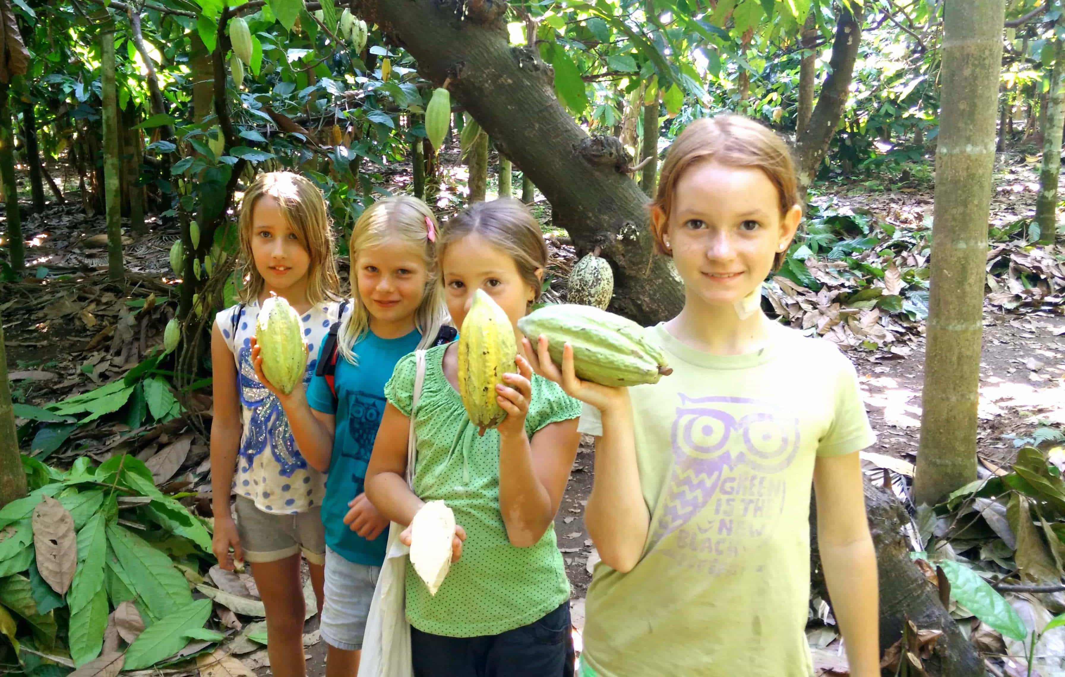 Varanashi farm buildings aerial view