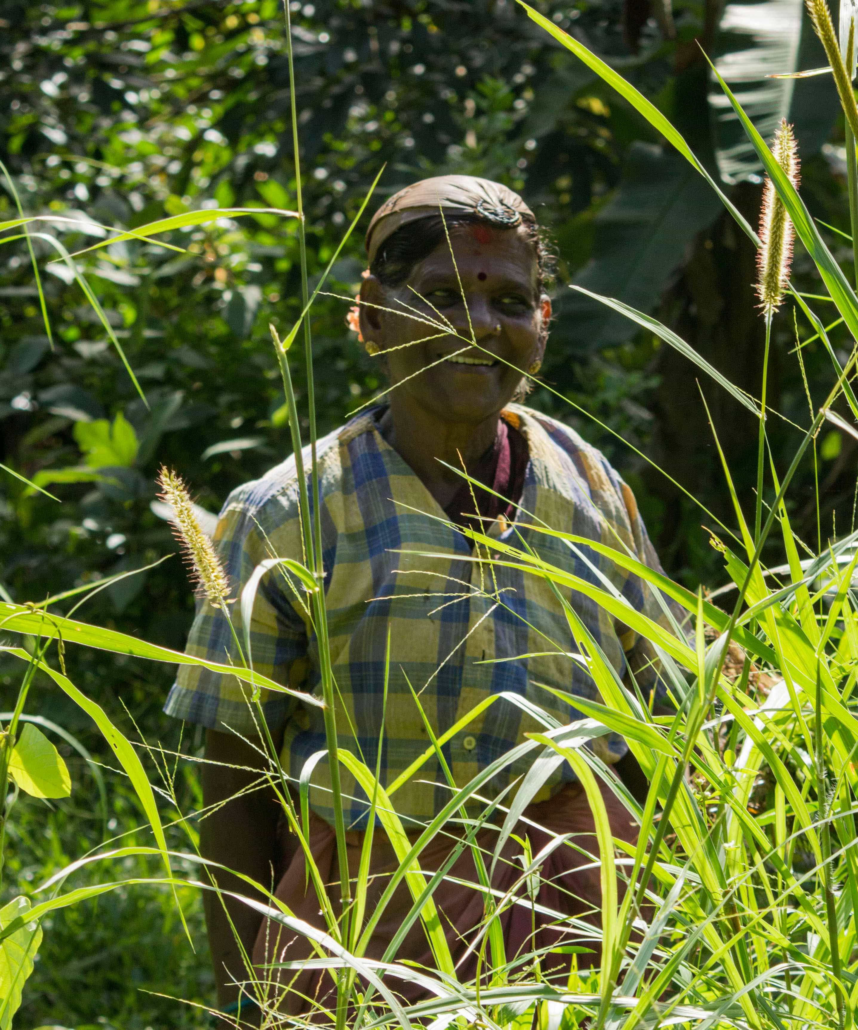 Varanashi farm worker in the field