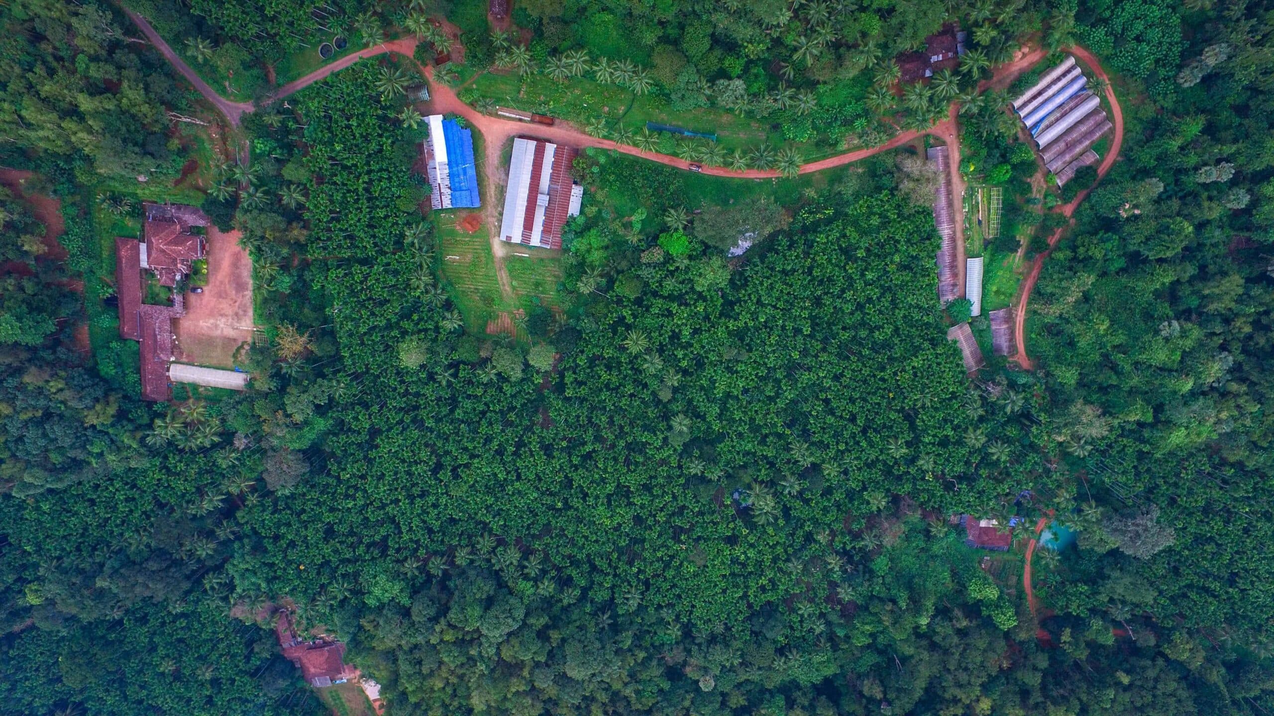 Varanashi organic farm aerial view